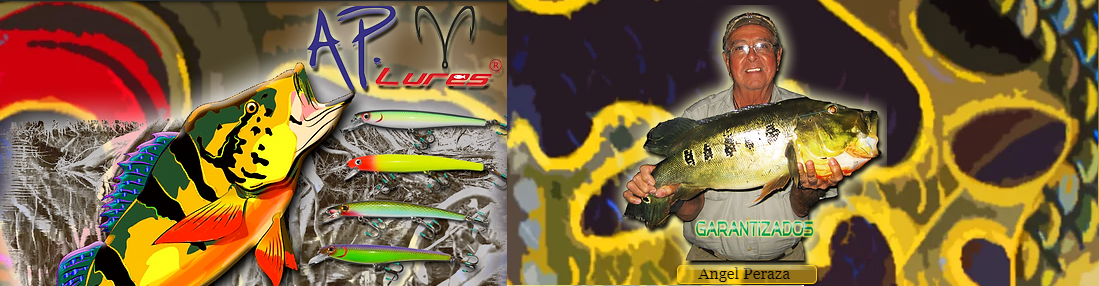 BANNER picture